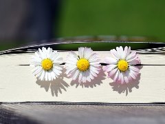 Top 3 books - spring 2018